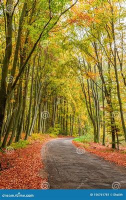 夢幻情天（0.1折扣版） 三國策略手游的網絡技術研發探秘