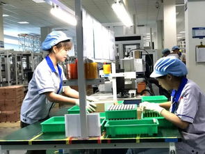 綠色制造新標桿 海曙牛企投入億元自主研發，榮膺國家級“綠色工廠”